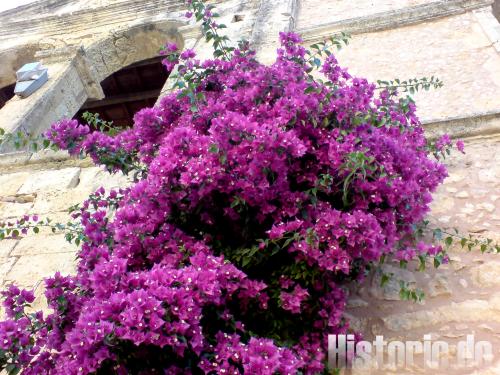 Kloster Arkadi