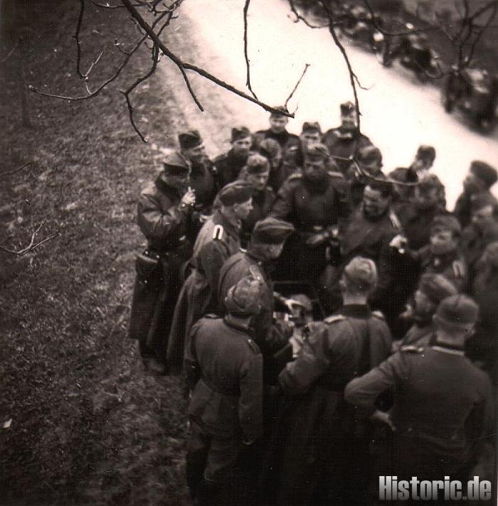 Ein Trunk an der Straße auf Ostmark