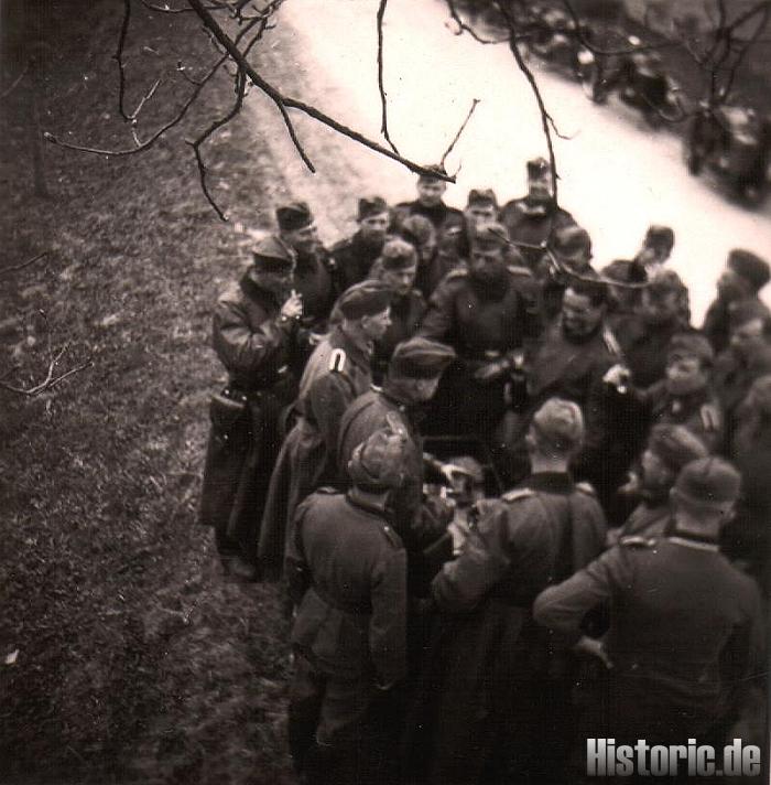 Ein Trunk an der Straße auf Ostmark