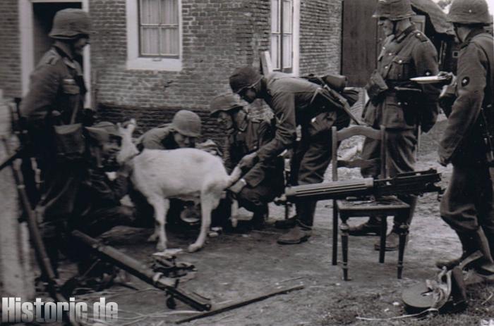 Fla-Bataillon 22 - Photoalbum des Kommandeurs Major Ludwig Kohlhaas