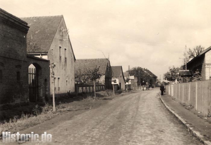Scharfschiessen in der Sager Heide