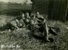 4./Infanterie Regiment 47