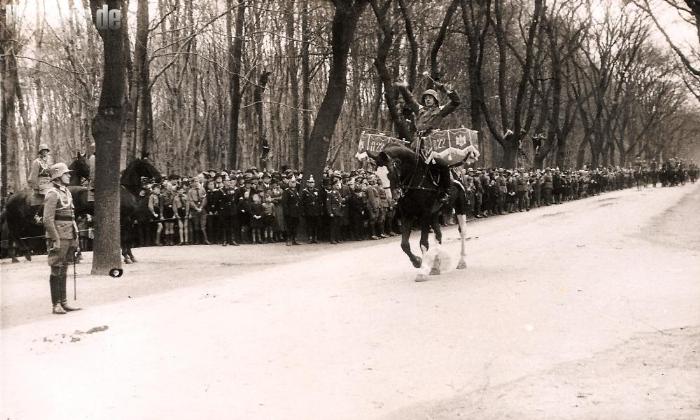 Nachrichten-Abteilung 22 - 22. Infanterie-Division