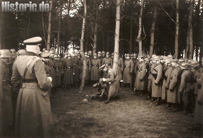 3./ Panzerabwehrabteilun 22