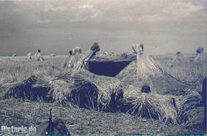 Russland - Stellung Juli 1941